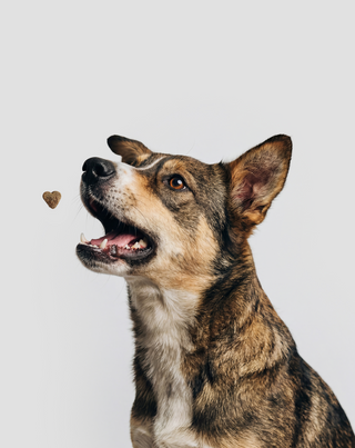 8 in 1 Complex aanvullend diervoeder voor honden multivitamine Oggo 180 g - 6