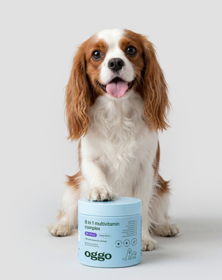 8 in 1 Complex aanvullend diervoeder voor honden multivitamine Oggo 180 g - 2
