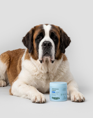 Joint & Bone Support aanvullend diervoeder voor honden voor gewrichten en botten Oggo 180 g - 3