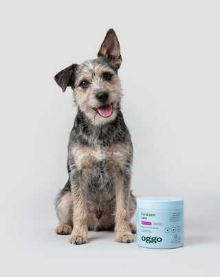 Fur & Skin aanvullend diervoeder voor honden voor een mooie vacht en gezonde huid Oggo 180 g - 2