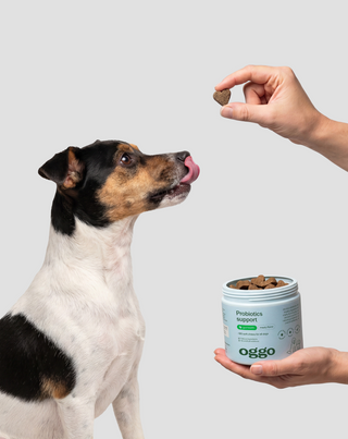 Probiotics for Dogs aanvullend diervoeder voor honden voor de spijsvertering, het spijsverteringsstelsel en weerstand Oggo 180 g - 2