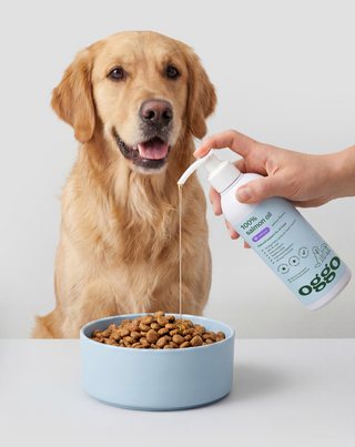 100 % zalmolie - aanvullend diervoeder voor honden voor weerstand en energie Oggo 250 ml - 3