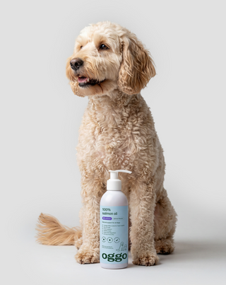 100 % zalmolie - aanvullend diervoeder voor honden voor weerstand en energie Oggo 250 ml - 2